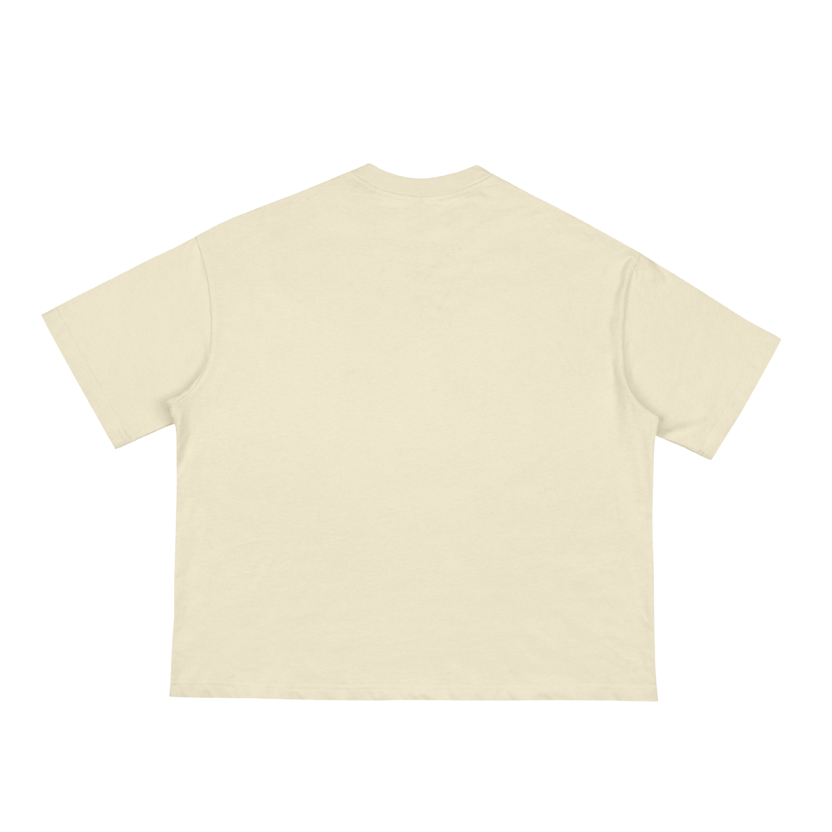 Strength and wisdom Classic Loose Boxy Tee